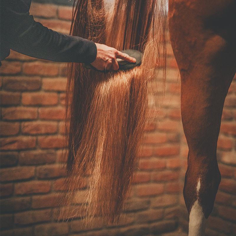 Cura Naturale - Démêlant et lustrant pour chevaux à la vanille | - Ohlala