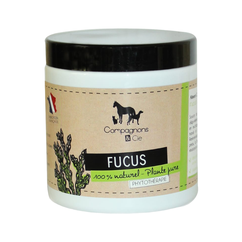 Compagnons & Cie - Complément alimentaire chiens Fucus Poudre algue brune | - Ohlala