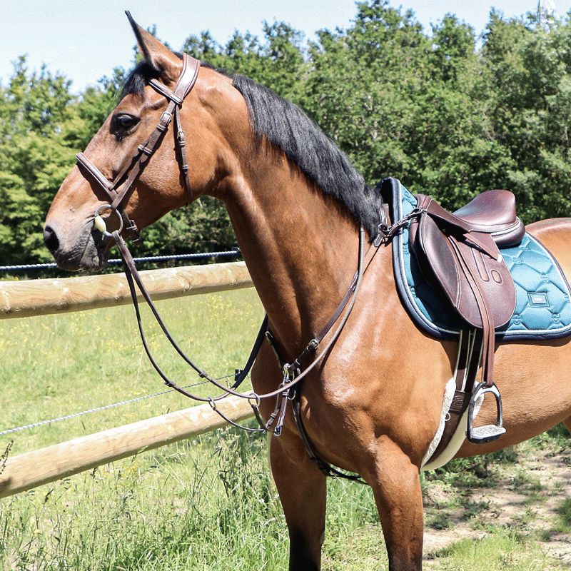 Chetak - Collier de chasse surpiqué marron | - Ohlala