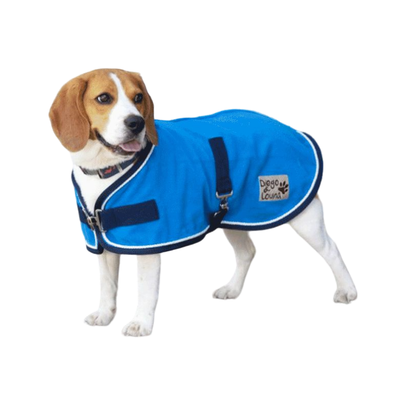 Diego & Louna - Manteau pour chiens Polyfun bleu vif 280g | - Ohlala