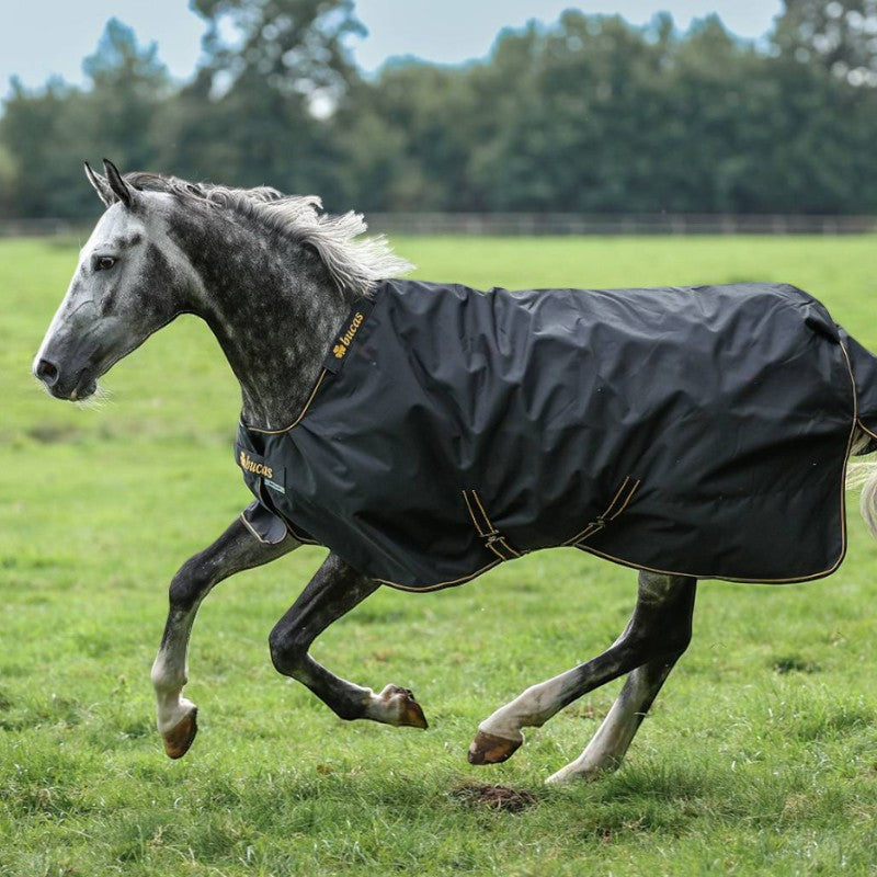 Bucas - Irish Turnout 300 outdoor blanket black/gold 300g 