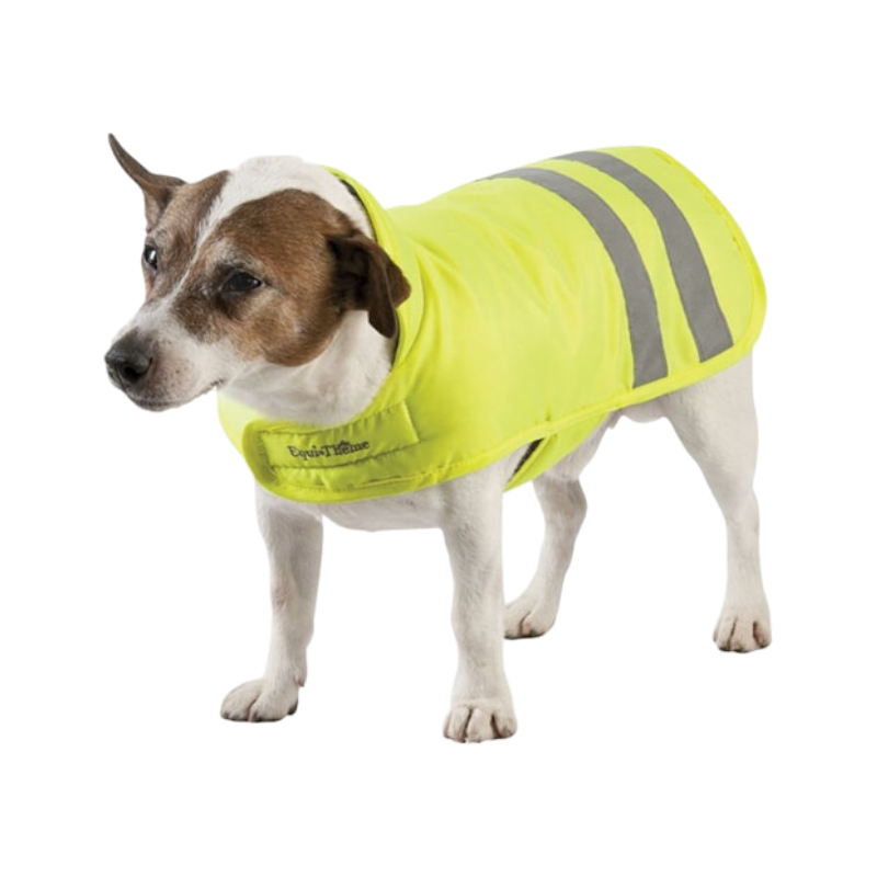 Equithème - Manteau pour chiens fluorescent 200g