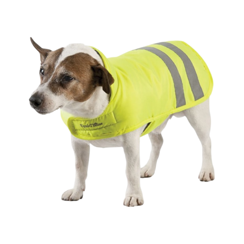 Equithème - Manteau pour chiens fluorescent