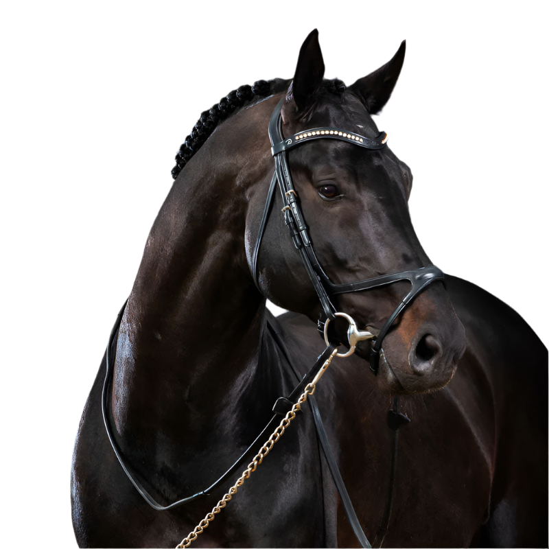 Dyon - X-Fit New English Collection bridle black