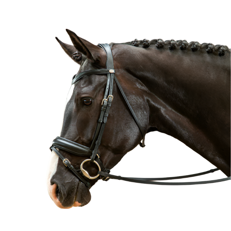 Dyon - Wide combined noseband bridle Working by Dyon black