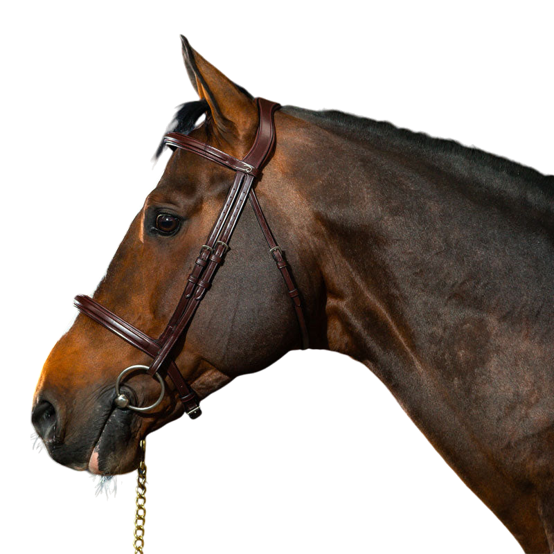 Dyon - New English Collection combined noseband bridle brown