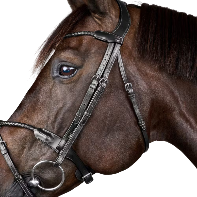 Dyon - Geflochtenes Zaumzeug mit abnehmbarem Nasenband Neue Englische Kollektion schwarz 