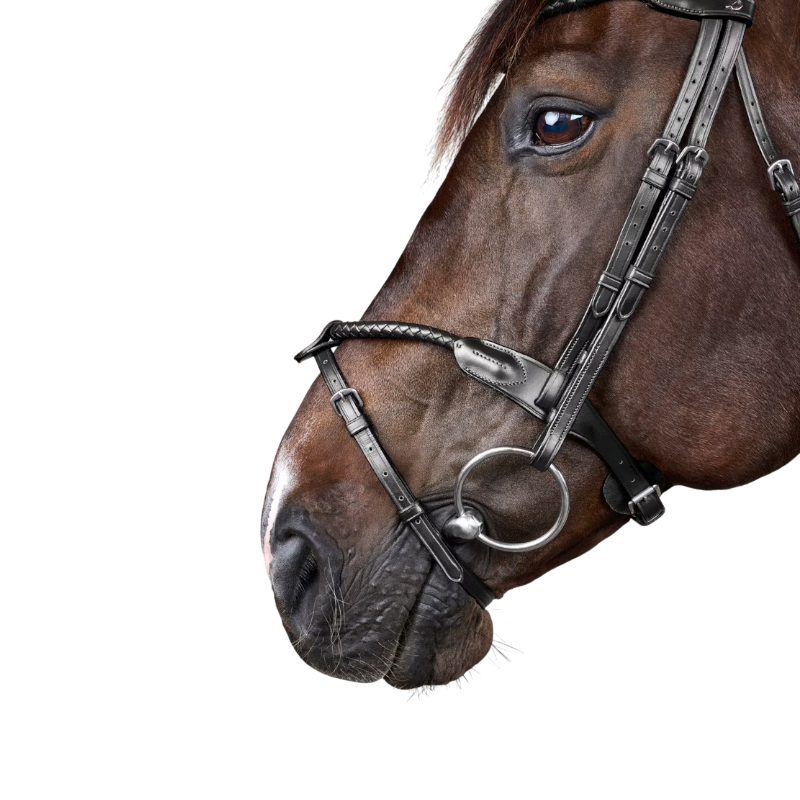 Dyon - Braided bridle with removable noseband New English Collection black 