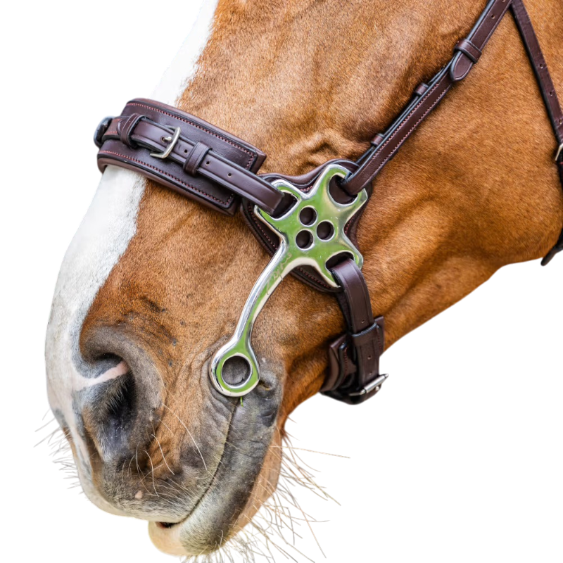 Dyon - Hackamore New English Collection brown 