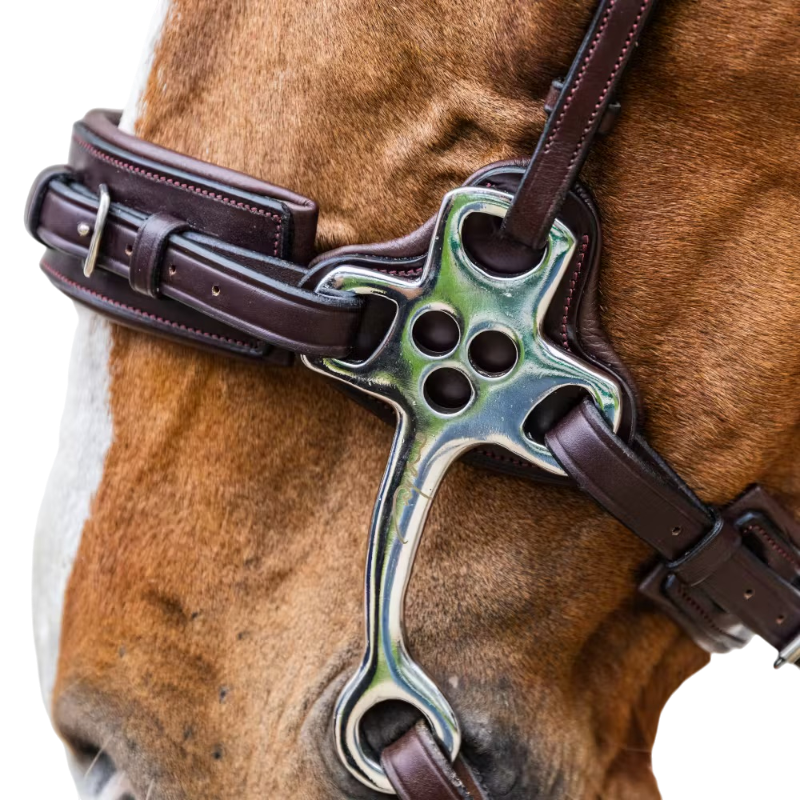 Dyon - Hackamore New English Collection brown 