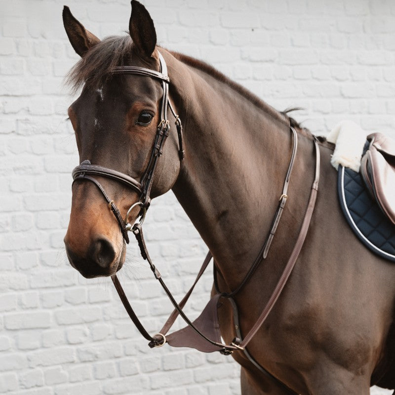 Dyon - Volle leren martingale Dyon Bruine collectie 