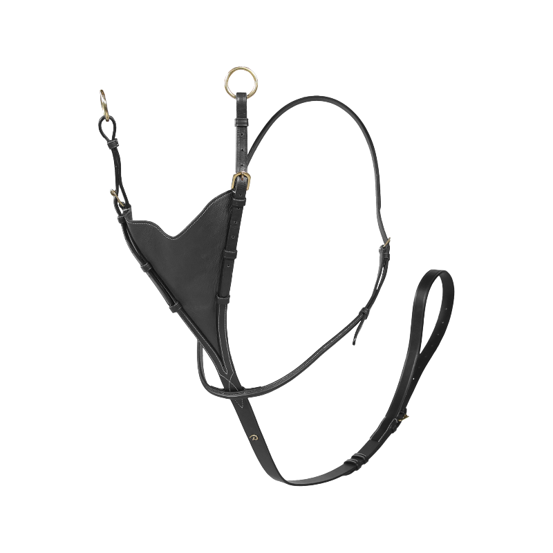 Dyon - Vollleder-Martingale in weichem Leder Dyon Kollektion Schwarz 