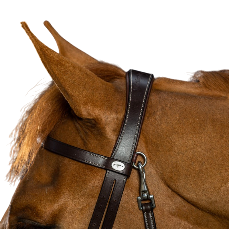 Dyon - Bridon cuir plat avec mousquetons Working By Dyon noir