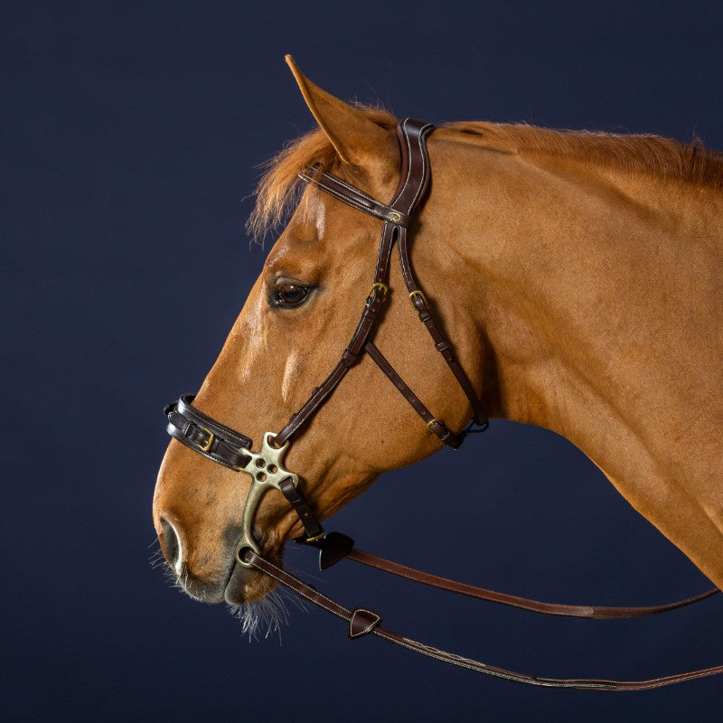 Dyon - Bridon hackamore D Collection havane