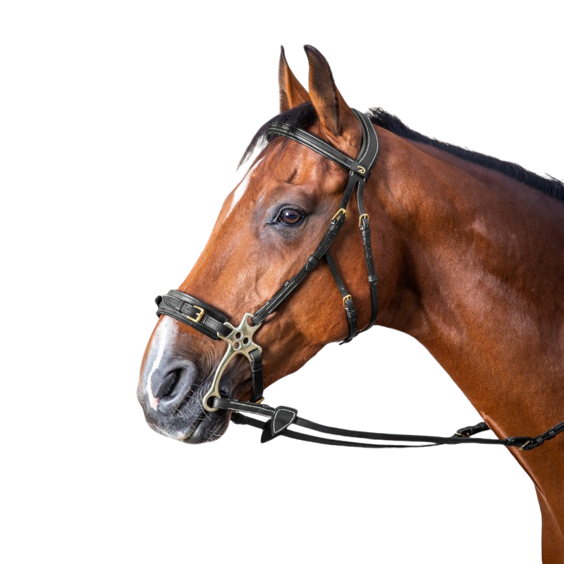 Dyon - Bridon hackamore D Collection noir