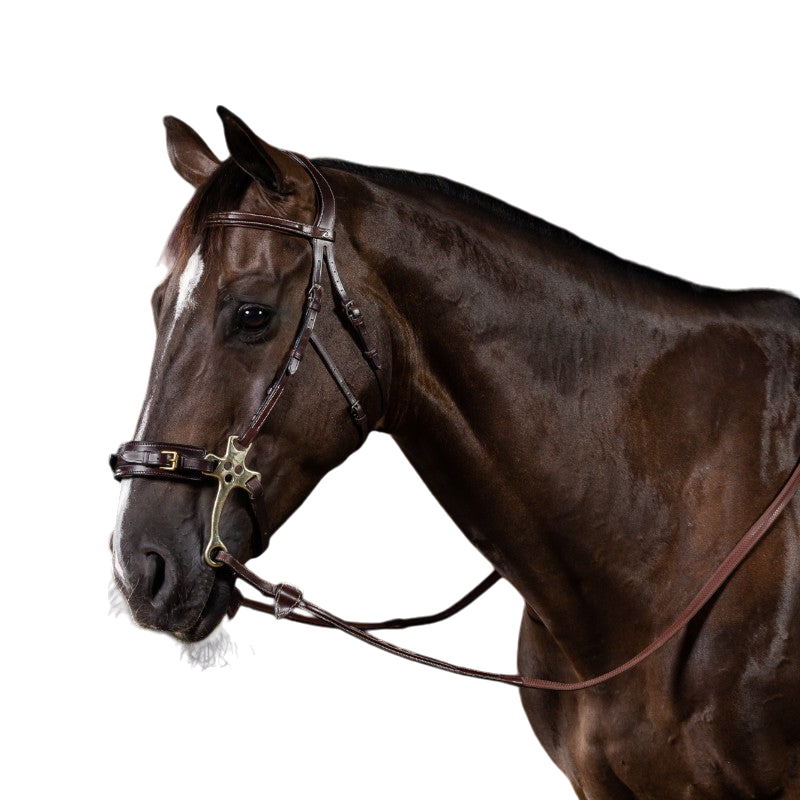 Dyon - Bridon hackamore US Collection havane