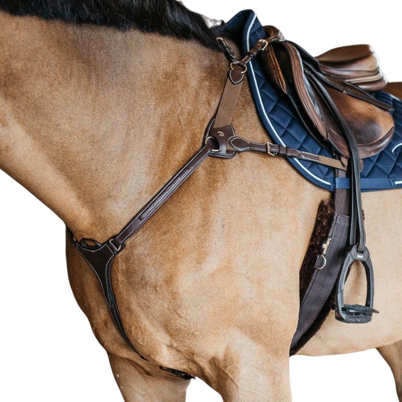 Dyon - Collier de chasse 5 points élastique D Collection marron