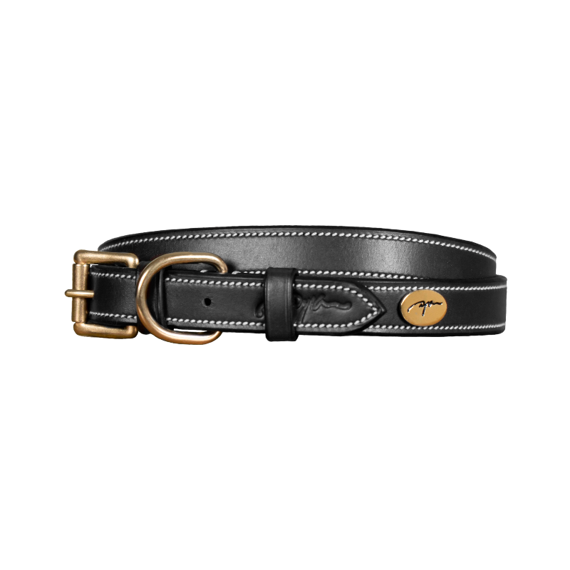 Dyon - Collier pour chien cuir Plat noir