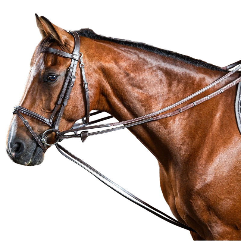 Dyon - Rênes allemandes Hunter 1/2 Working By Dyon marron