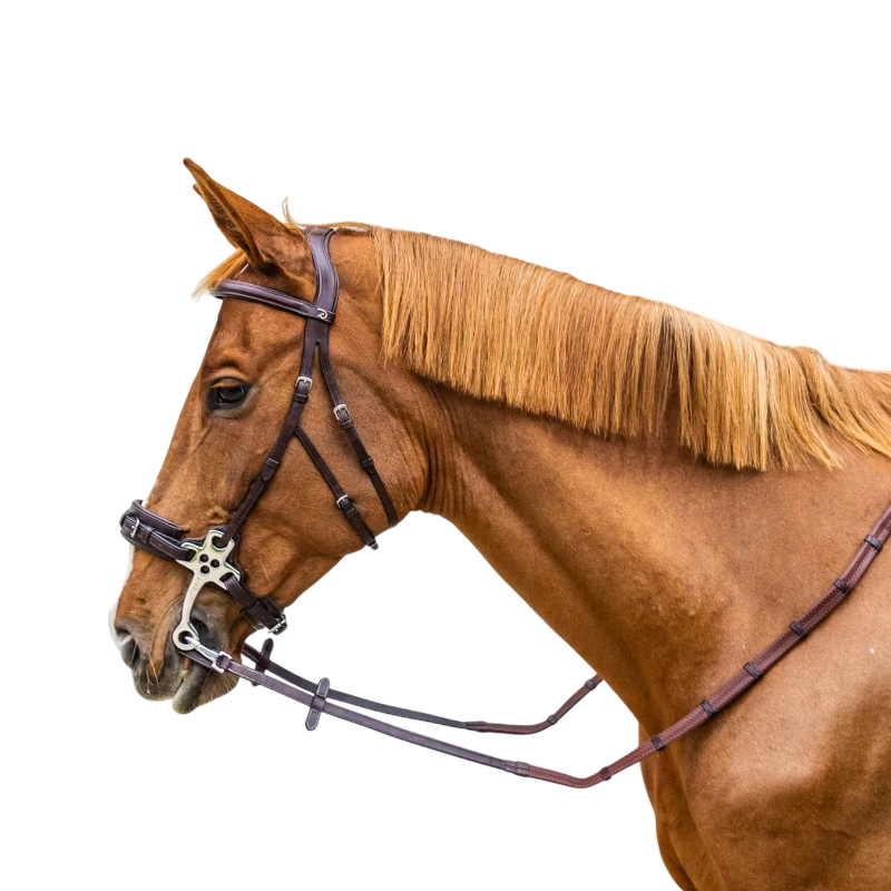 Dyon - Rubber hoses 5/8 with stops and brown working carabiner 