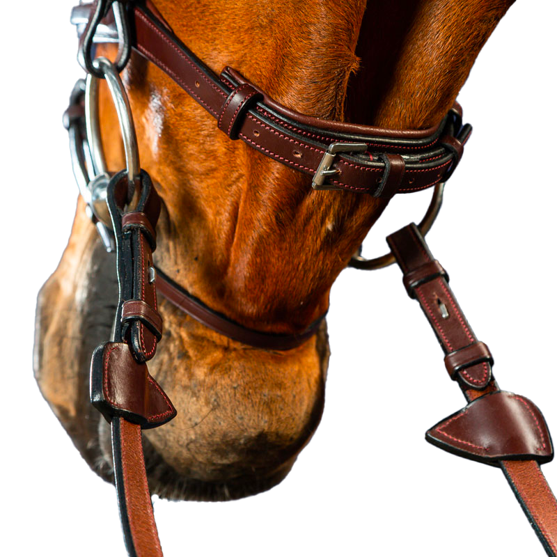 Dyon - New English Collection combined noseband bridle brown