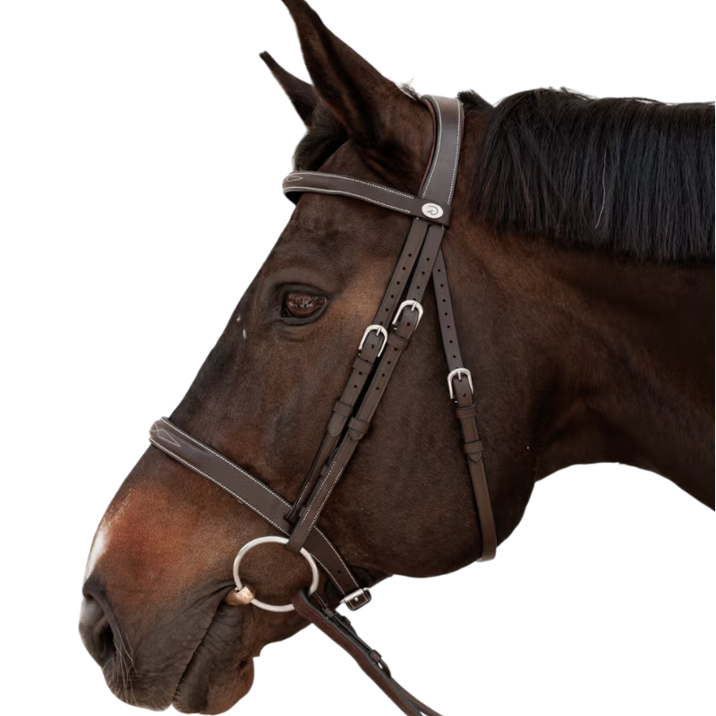Dyon - Brown Bridon Hunter 