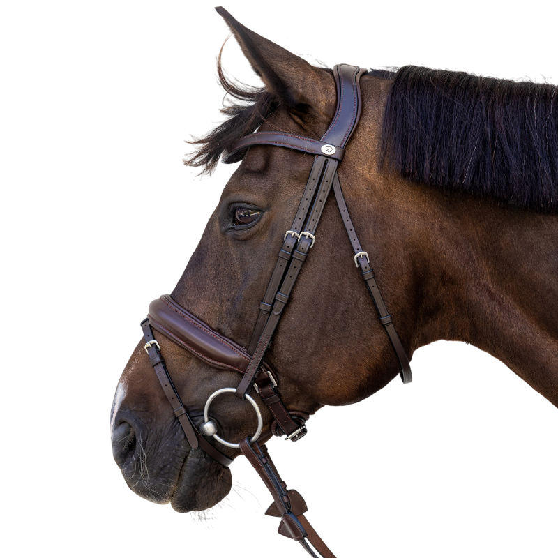 Dyon - Medium bruin neusriem 