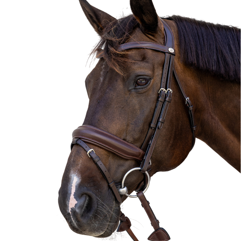 Dyon - Medium brown noseband bridle 