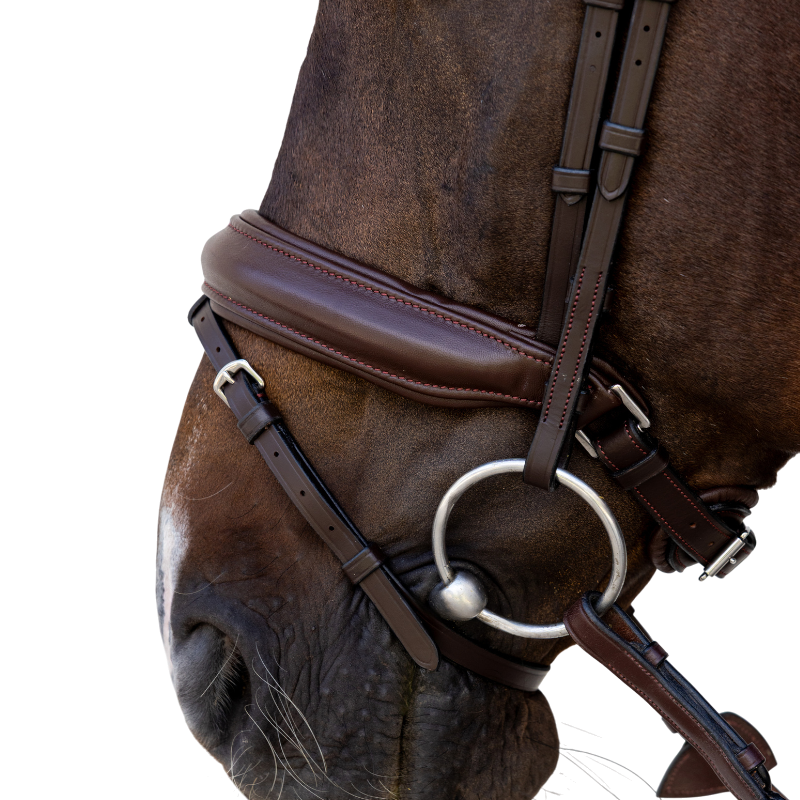 Dyon - Medium brown noseband bridle 