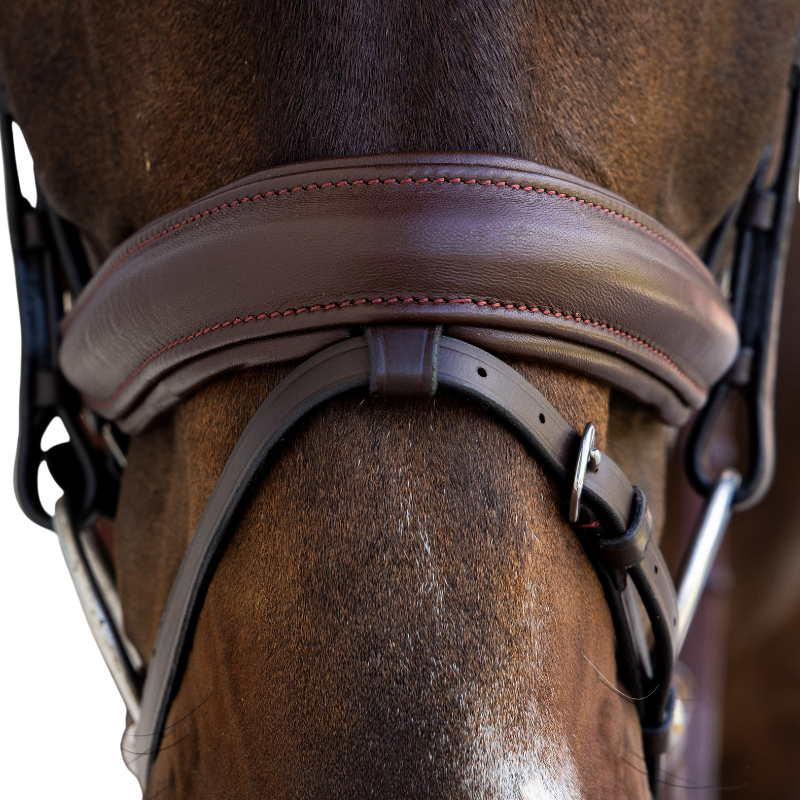 Dyon - Medium brown noseband bridle 