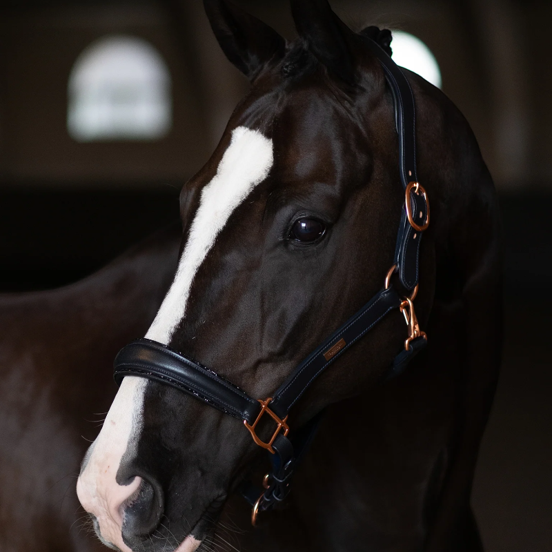 Equestrian Stockholm - Leren halster Glimmer Dark Ocean 