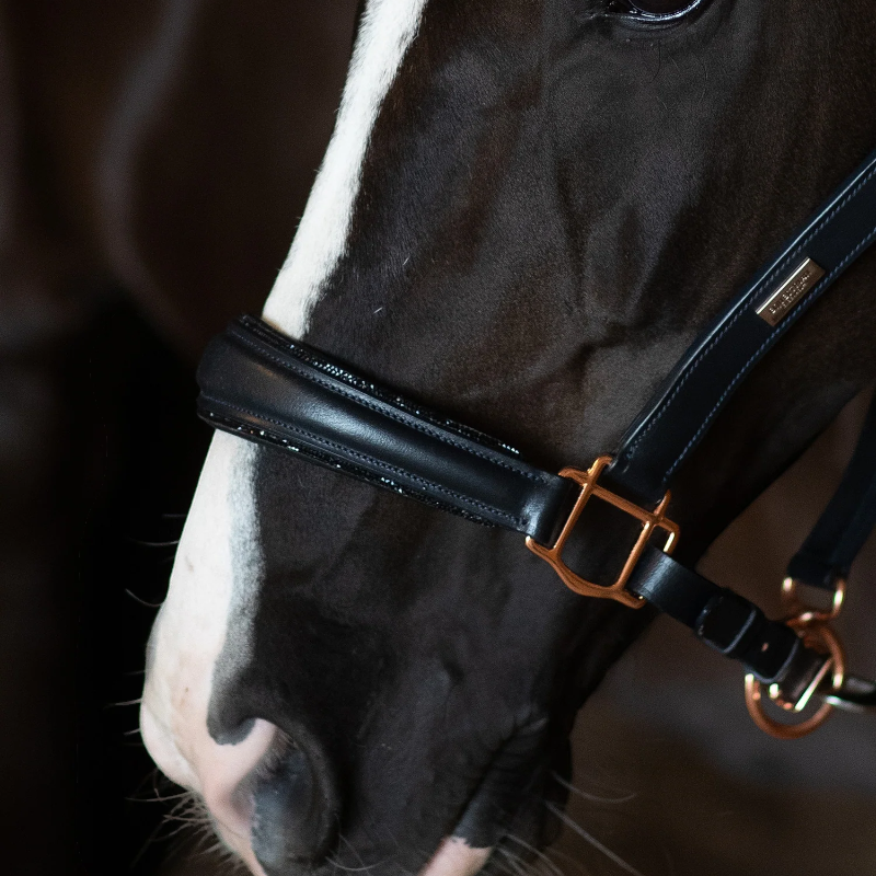 Equestrian Stockholm - Licol en cuir Glimmer Dark Ocean | - Ohlala