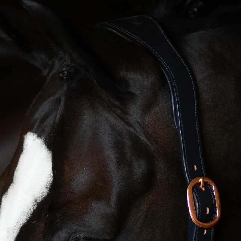 Equestrian Stockholm - Licol en cuir Glimmer Dark Ocean | - Ohlala