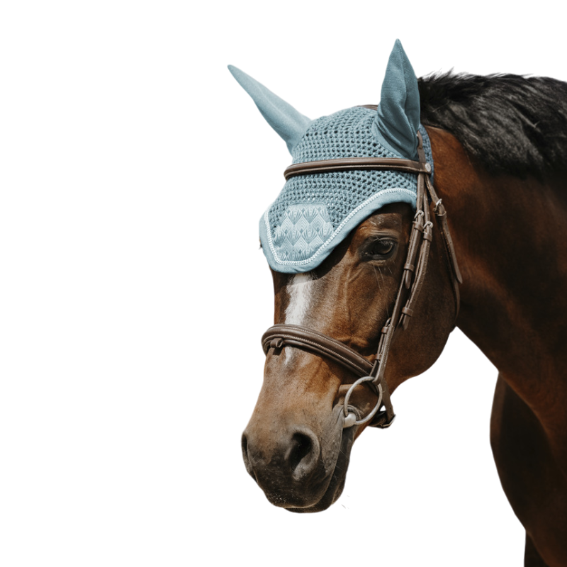Equithème - Bonnet pour chevaux Brocart bleu clair