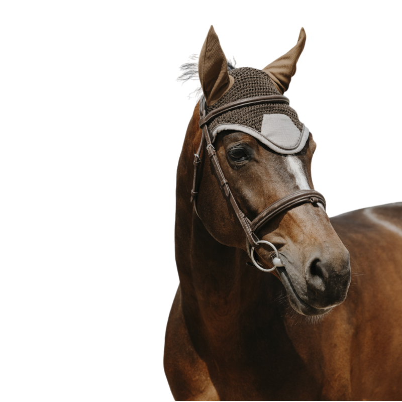 Equithème - Bonnet pour chevaux Chic marron