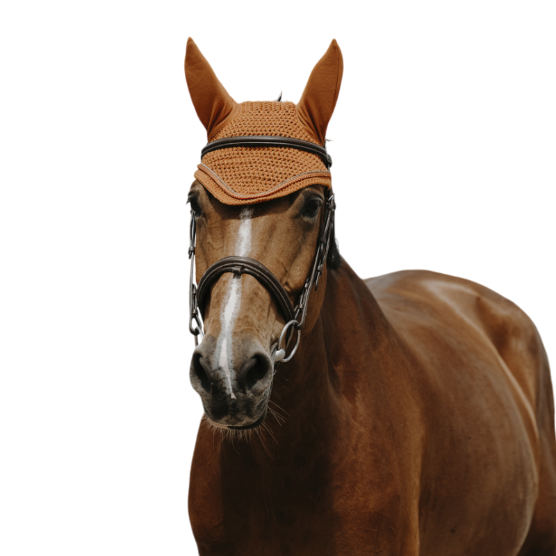 Equithème - Bonnet pour chevaux Hexalight rouille