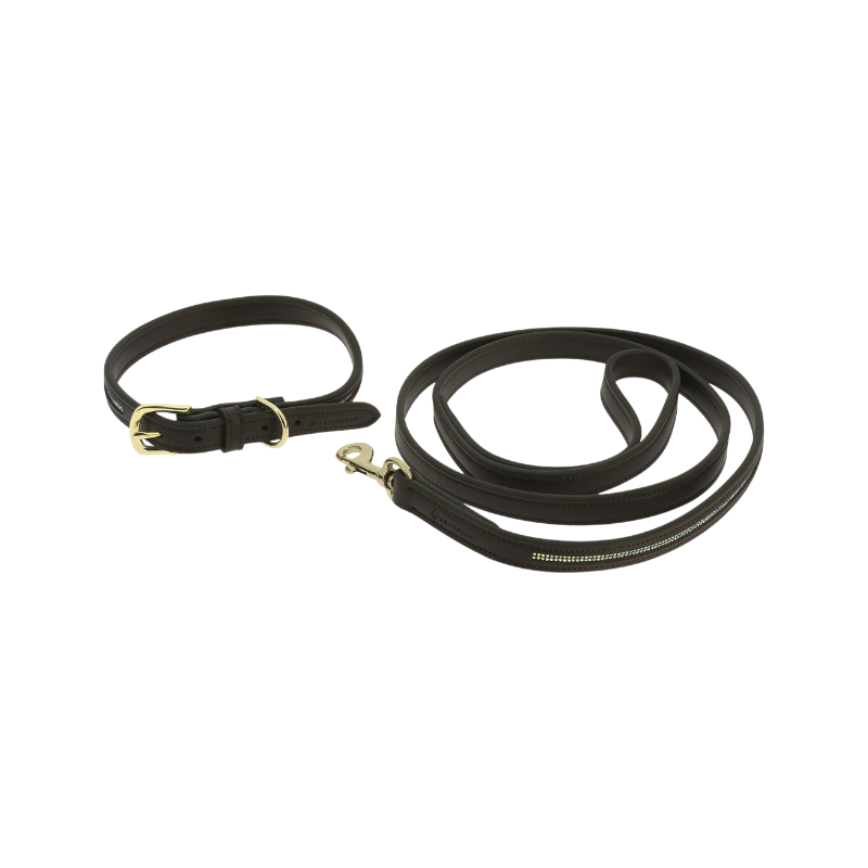Equithème - Collier et laisse pour chien Max marron
