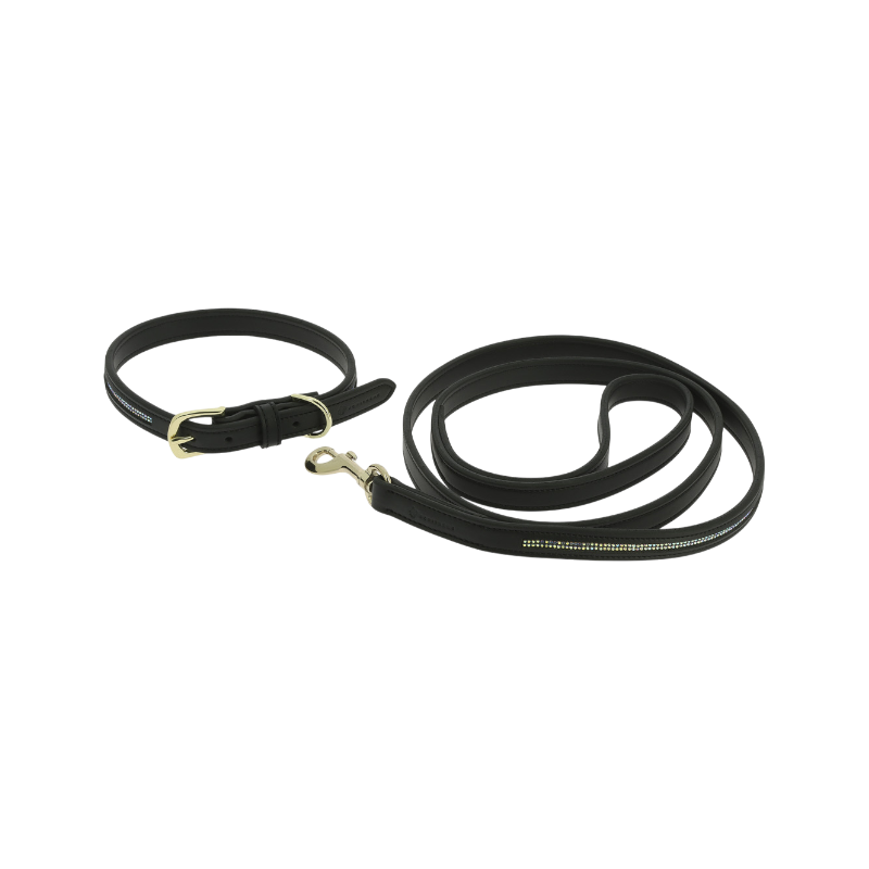 Equithème - Zwarte hondenhalsband en -riem Max 