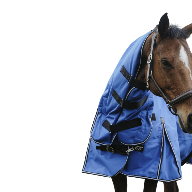 Equithème - Couverture d'extérieur Tyrex Aisance 1200D Combo bleu roi 100g