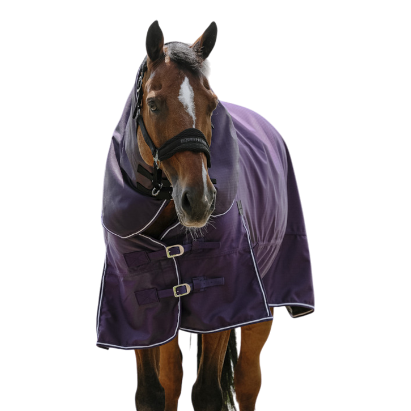 Equithème - Tyrex 600D Halswärmer Pflaume 0g 