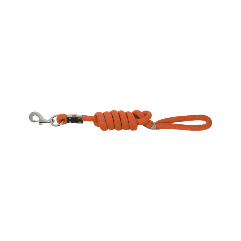 Equithème - Orange Rio dog leash 