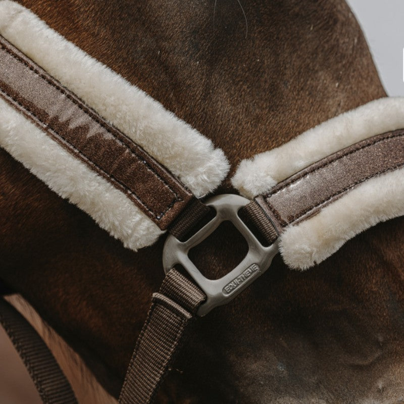 Equithème - Licol Nylon Fashion marron