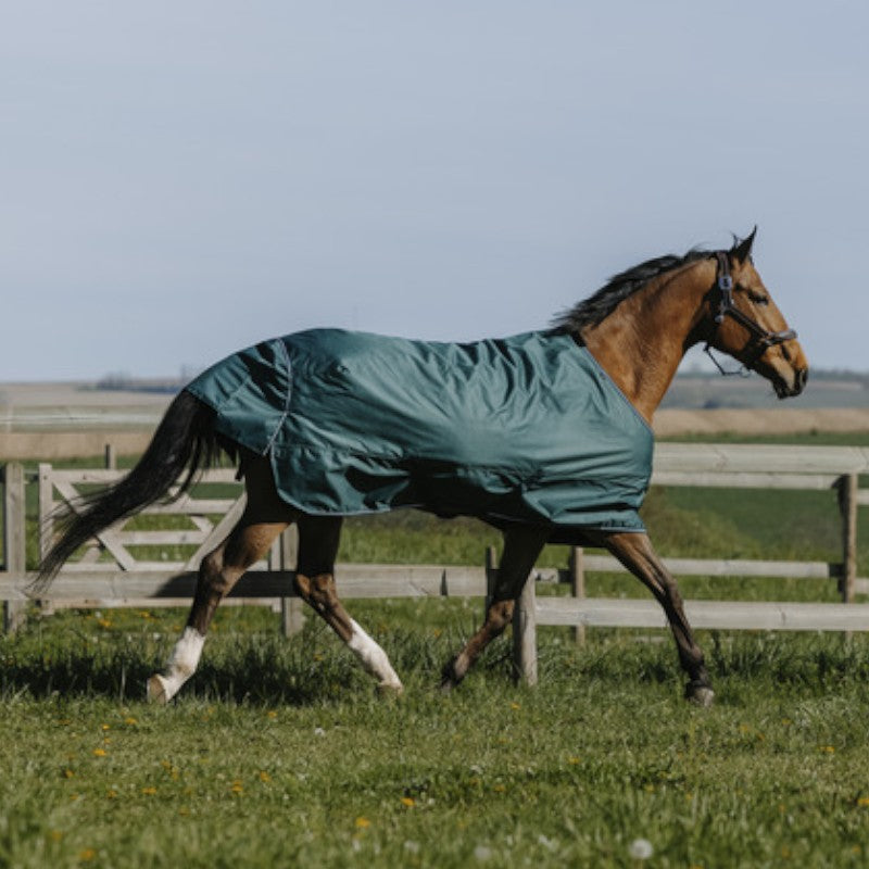 Equithème - Couverture d'extérieur Tyrex 600D 0g vert
