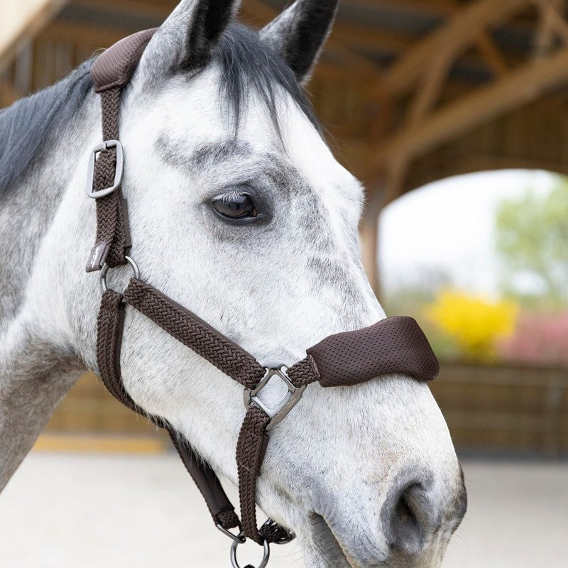 Pro Confort - Ergonomic halter and Dorai long line in brown mesh 
