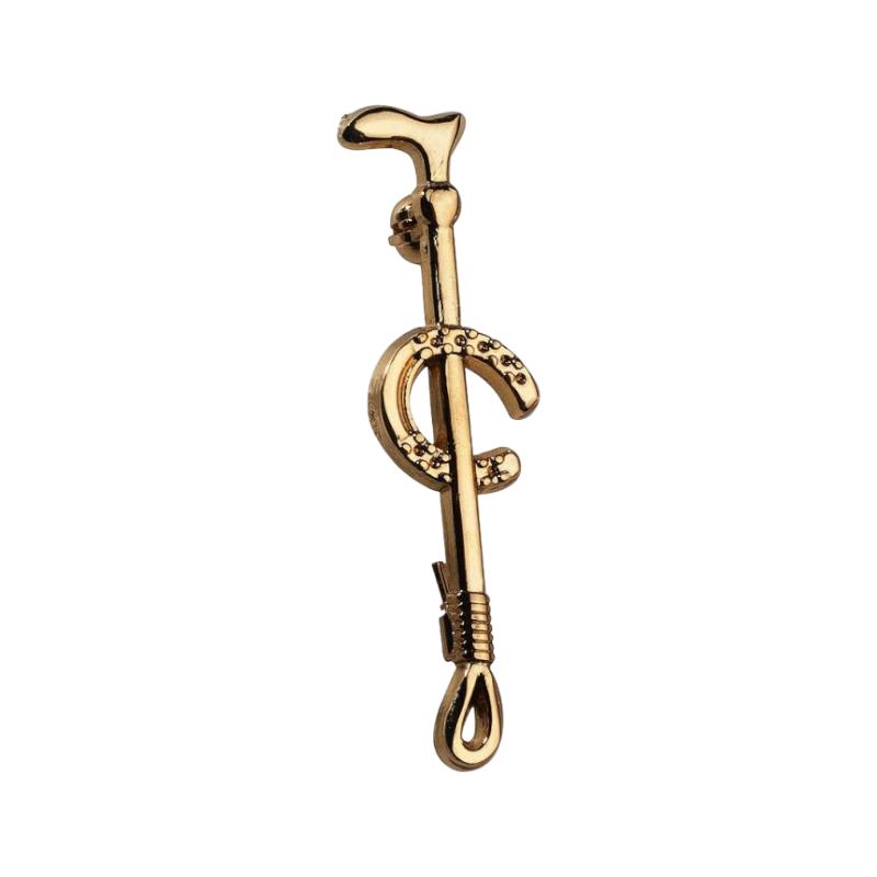 Equithème - gouden "ijzeren" tie pin