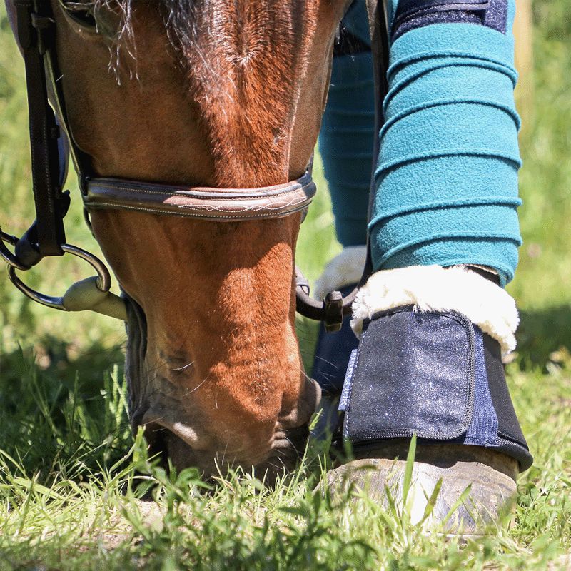 Equestrian Stockholm - Bandes de polo Emerald (x4) | - Ohlala