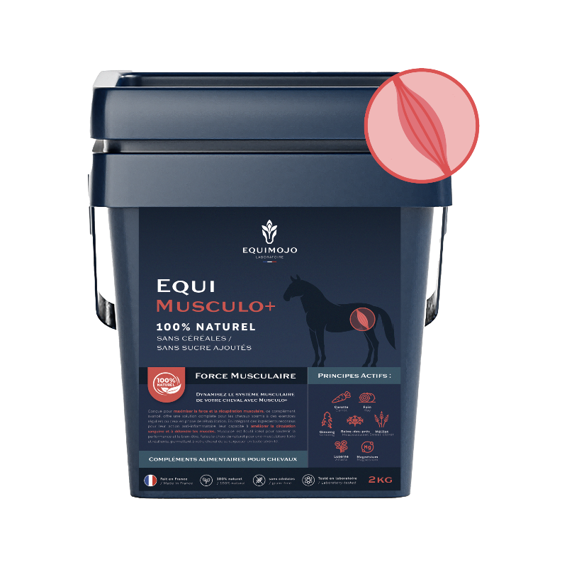 Equimojo - Complément alimentaire soutien musculaire Equi-Musculo+