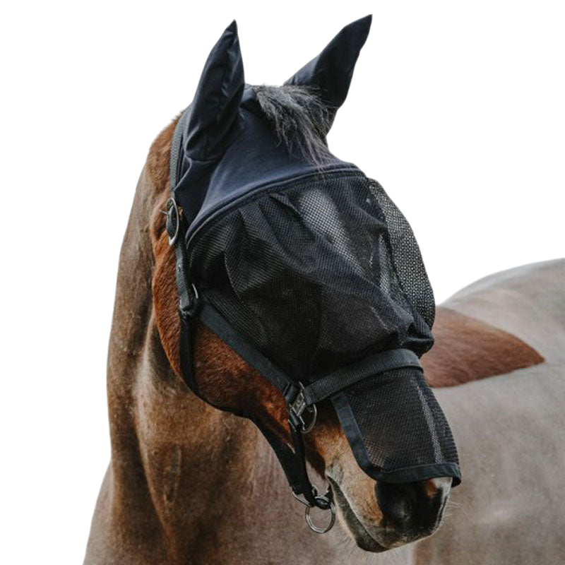 Equithème - Halter with black mesh fly mask