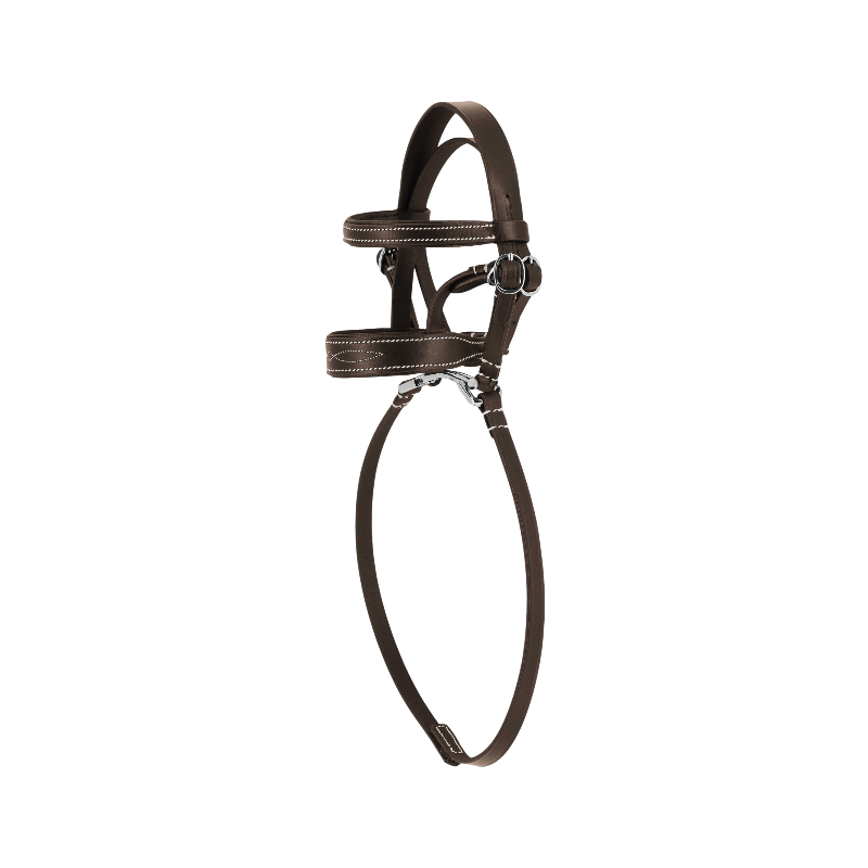 Equithème - Bridon pour mini poney havane | - Ohlala