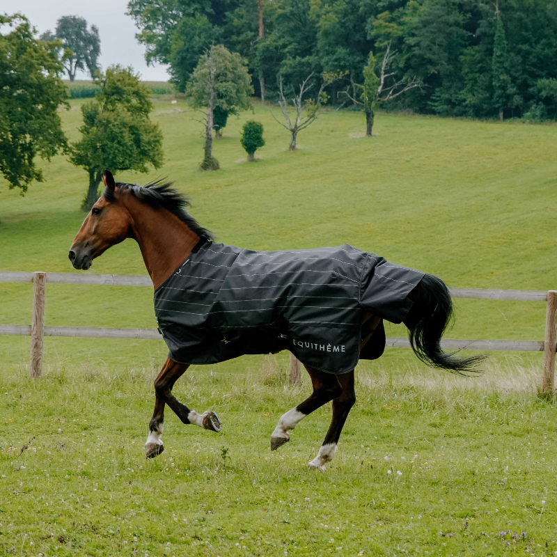 Equithème - Couverture d'extérieur Tyrex Lumin 600D noir 0g | - Ohlala